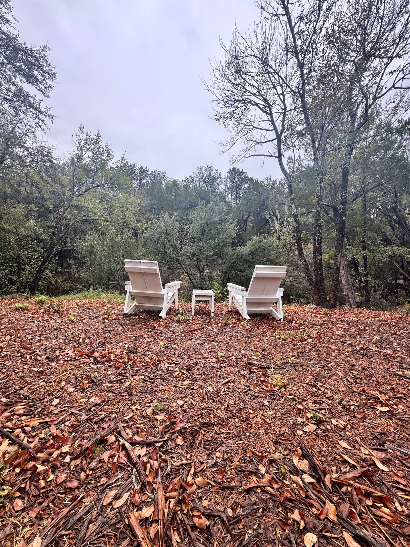 Adirondack chairs in a quiet clearing